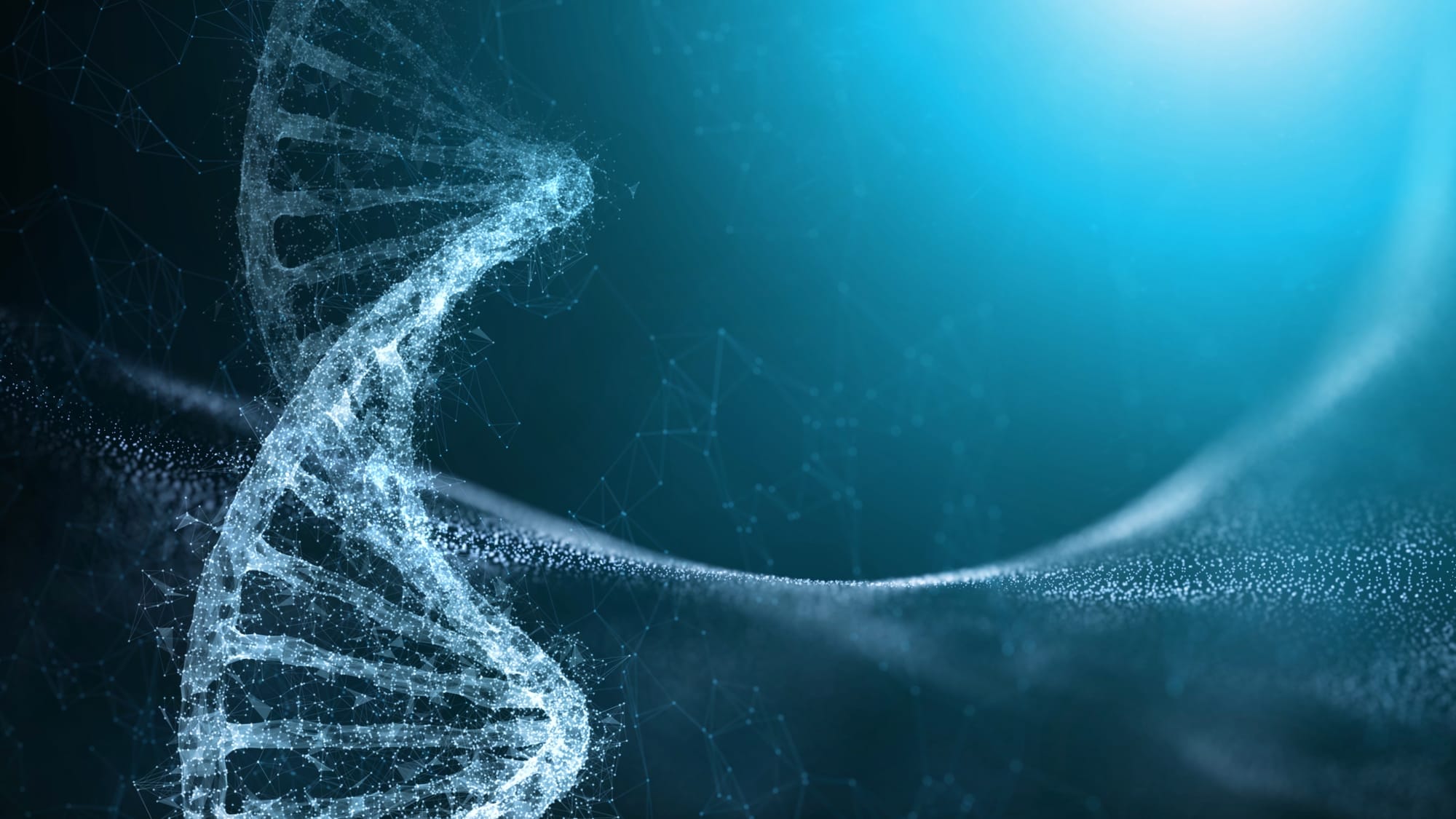 How Much Does Androgen Receptor Sensitivity Matter?