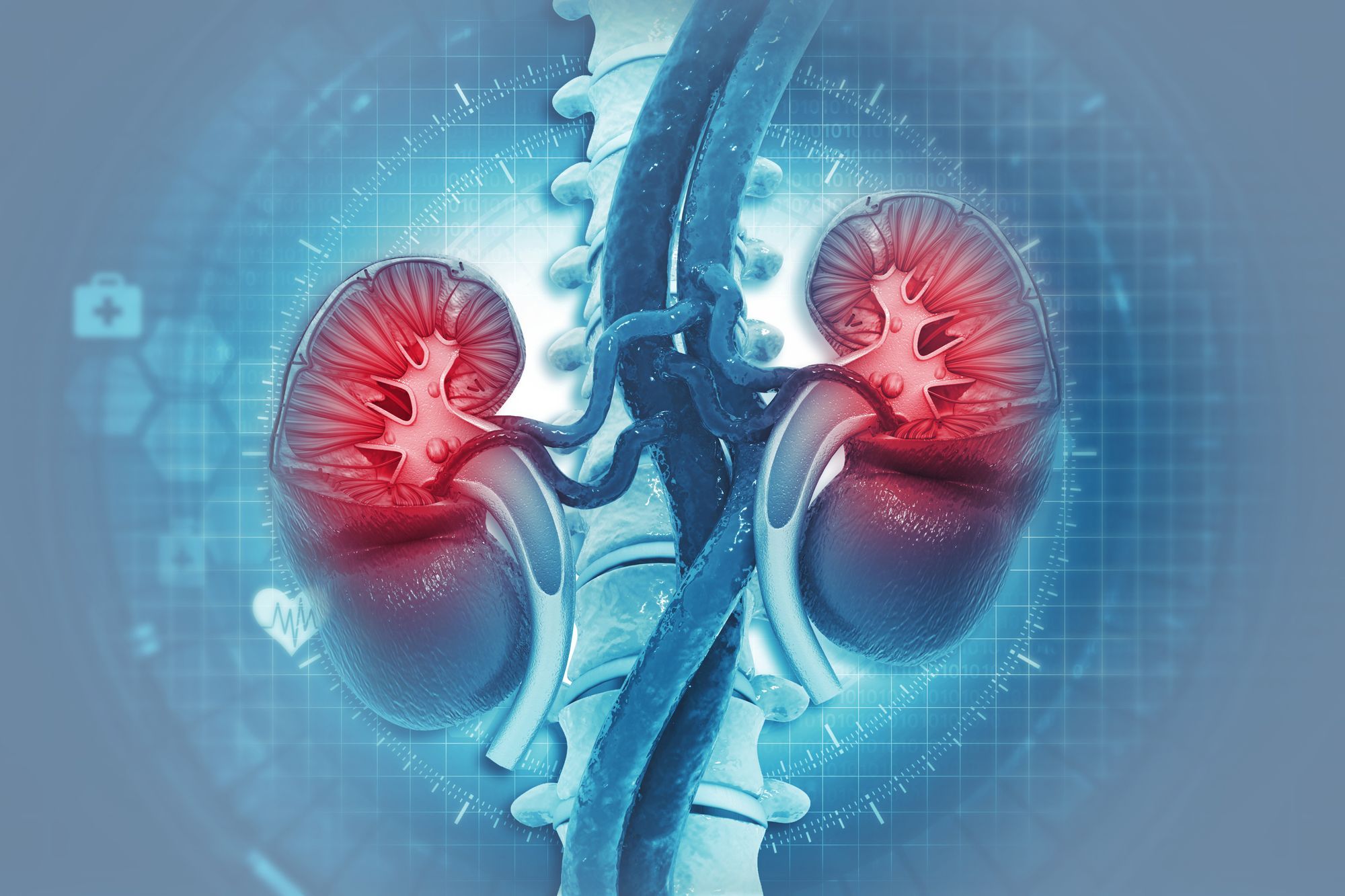 If I Eat Too Much Protein Will My Kidneys Blow Up?